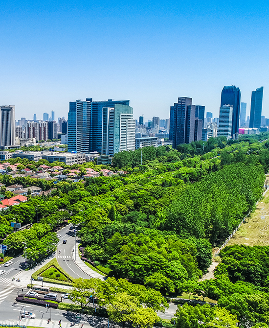 Select<br>Expert Doctor